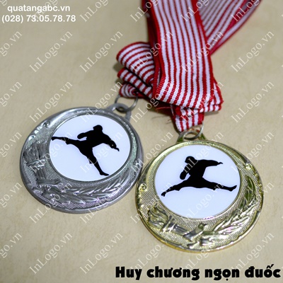 Huy hiệu nhựa 2.5cm huy hieu nhua 2.5cm