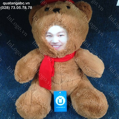 In gấu bông Teddy