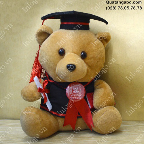 Gấu bông tốt nghiệp trung
