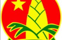huy hiệu đội thiếu niên tiền phong
