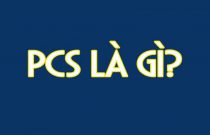 psc-la-gi